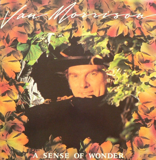 Van Morrison - A Sense Of Wonder (LP Tweedehands)