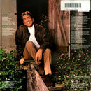 Dean Martin - The Nashville Sessions (LP Tweedehands)