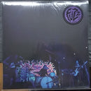 Fuzz - Levitation Sessions (LP) - Discords.nl