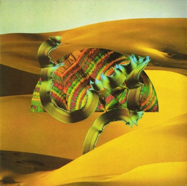 Django Django - Django Django (LP Tweedehands)