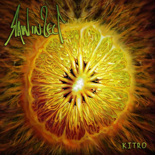 Raw In Sect - Kitro (CD) - Discords.nl