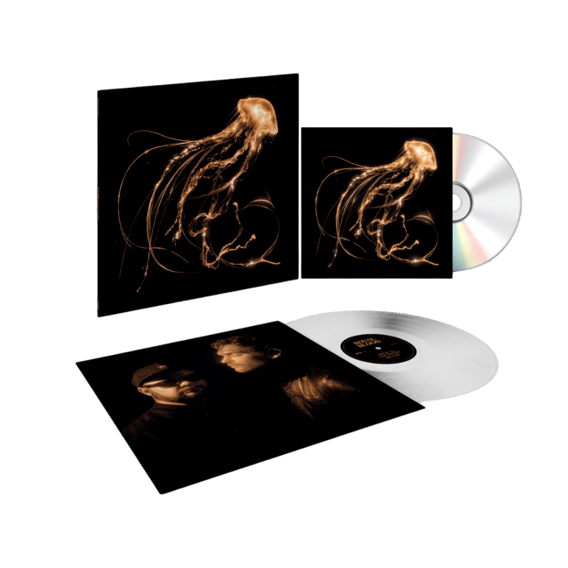 Royal Blood - Back To The Water Below - Transparant Coloured Vinyl (LP) - Discords.nl