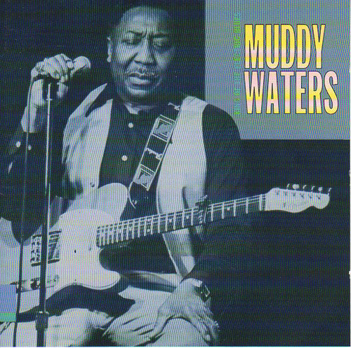 Muddy Waters - King Of The Electric Blues (CD Tweedehands)