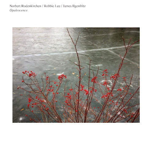 Norbert Rodenkirchen - Opalescence (LP) - Discords.nl