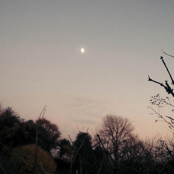 Rachel Sermanni - Dreamer awake (CD) - Discords.nl