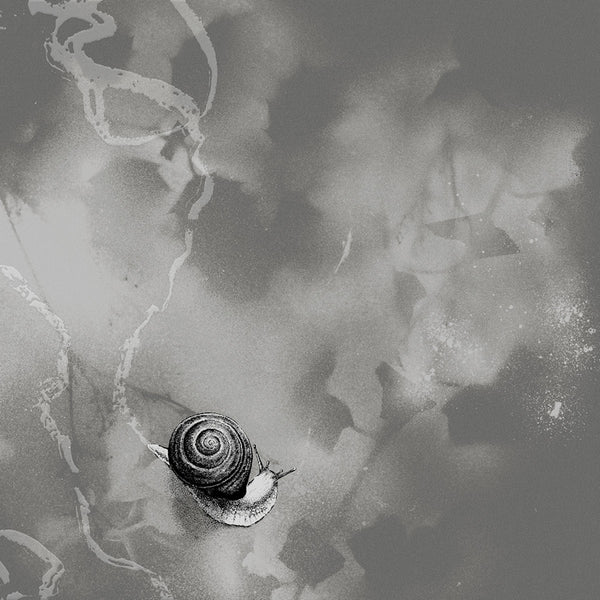 Rats On Rafts - Deep Below (LP) - Discords.nl