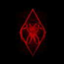 Raum Kingdom - Everything & nothing (LP) - Discords.nl