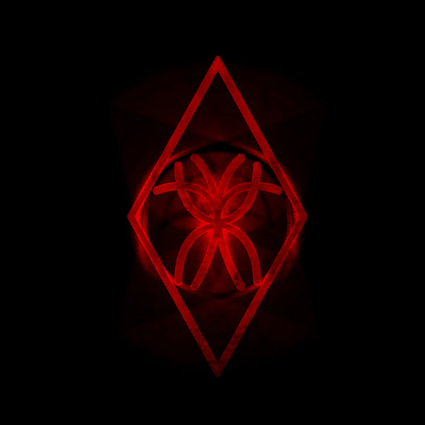 Raum Kingdom - Everything & nothing (LP) - Discords.nl