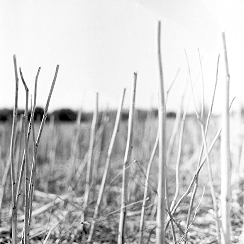 Recondite - On acid (LP) - Discords.nl