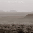 Red Beard Wall - The fight needs us all (LP) - Discords.nl
