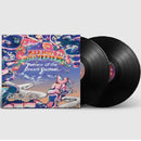 Red Hot Chili Peppers - Return of the dream canteen (LP) - Discords.nl