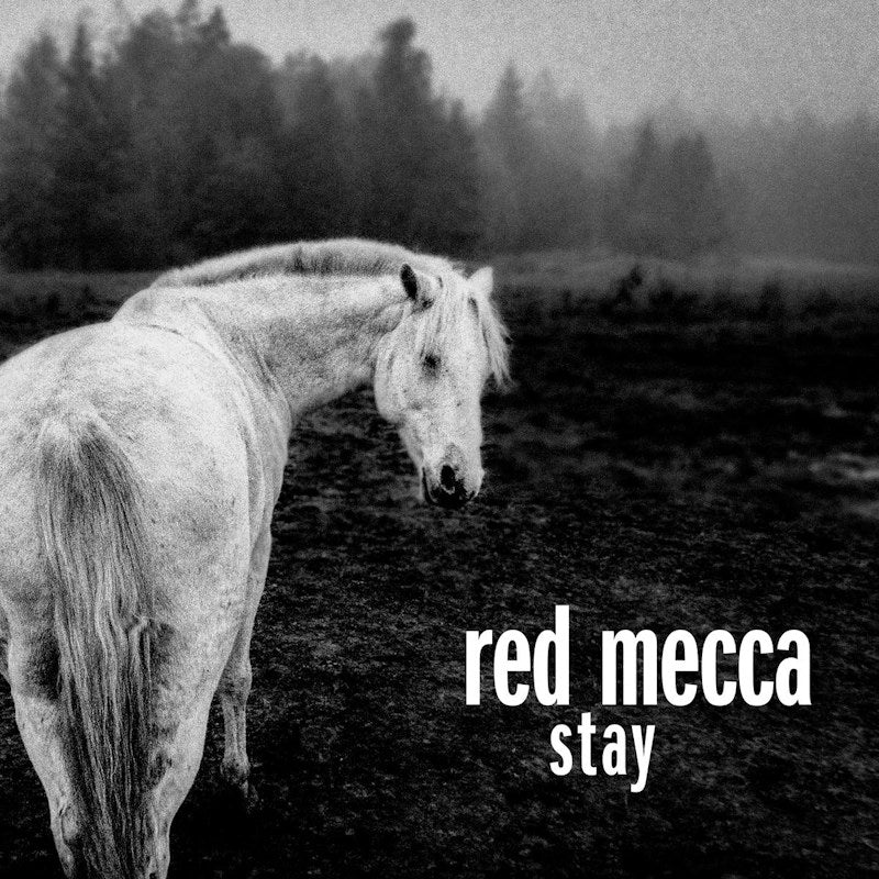 Red Mecca - Stay (LP) - Discords.nl