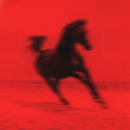 Red Rum Club - Buck (CD)