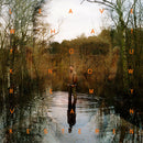 Remy Van Kesteren - Leave what you know (LP) - Discords.nl