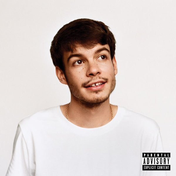 Rex Orange County - Pony (LP) - Discords.nl