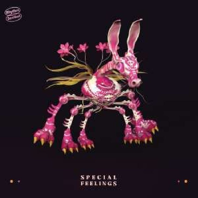 Special Feelings - Special feelings (LP) - Discords.nl