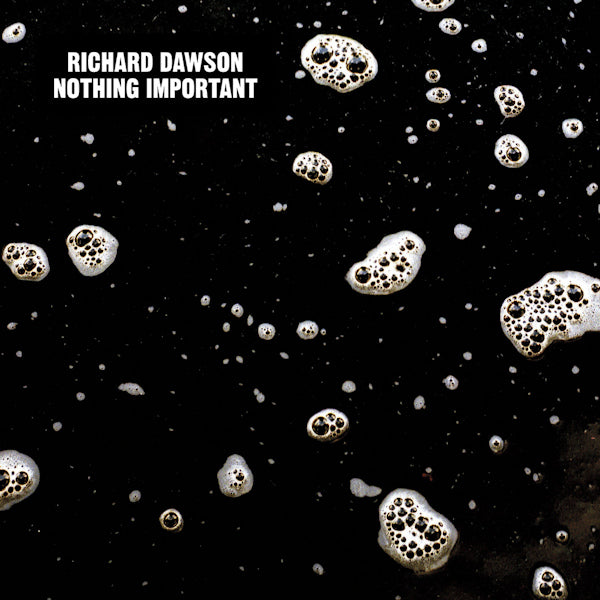 Richard Dawson - Nothing important (LP) - Discords.nl