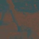 Ritual Howls - Ritual howls (LP) - Discords.nl