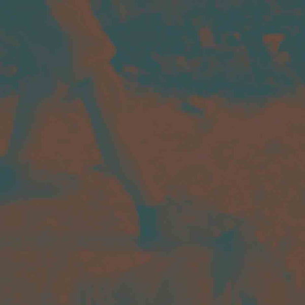 Ritual Howls - Ritual howls (CD) - Discords.nl