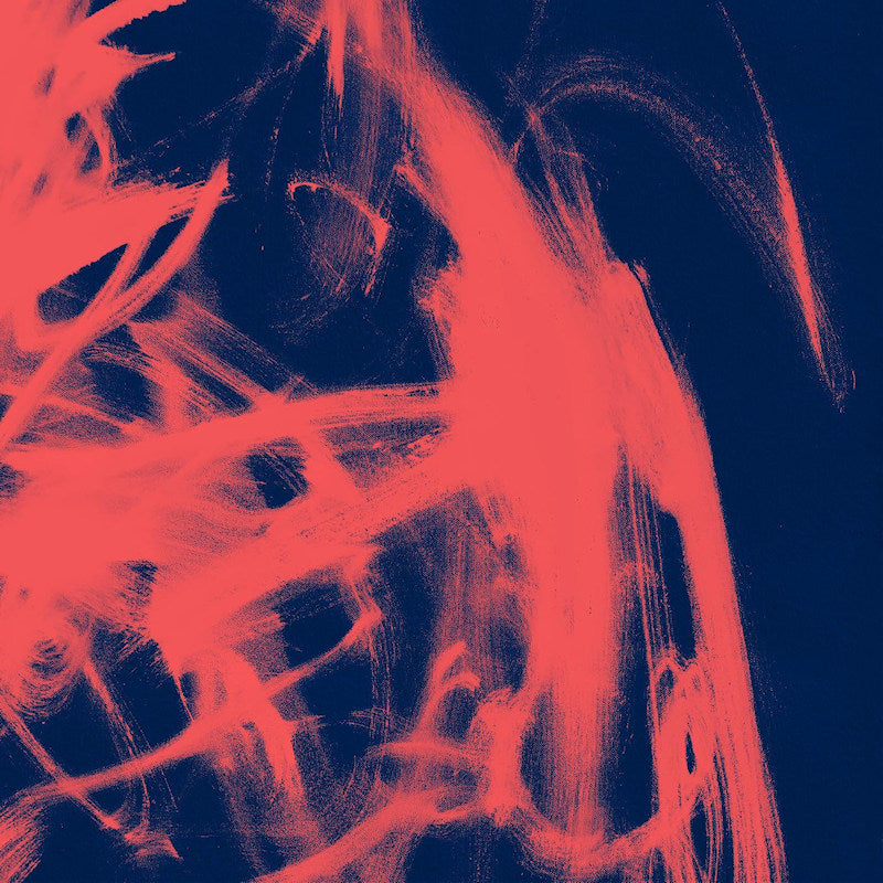 Rival Consoles - Landscape From Memory (LP) - Discords.nl