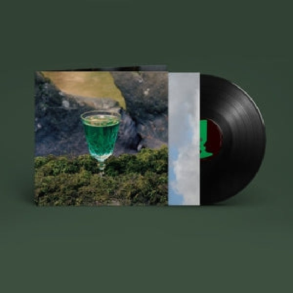 John Francis Flynn - Look over the wall, see the sky (LP) - Discords.nl