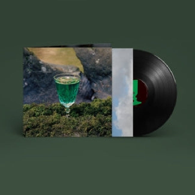 John Francis Flynn - Look over the wall, see the sky (LP) - Discords.nl