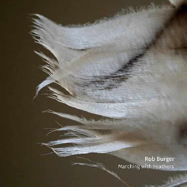 Rob Burger - Marching with feathers (LP) - Discords.nl