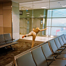 Robocobra Quartet - 7-wellness (12-inch) - Discords.nl