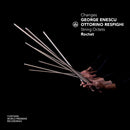 Roctet - Changes - string octets (CD)