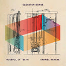 Roomful Of Tee Gabriel Kahane - Elevator songs (LP)