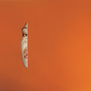 Rosie Lowe - Lover other (CD) - Discords.nl