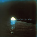 Rotem Geffen - The night is the night (LP) - Discords.nl