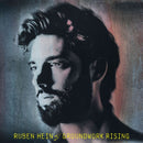 Ruben Hein - Groundwork rising (CD) - Discords.nl