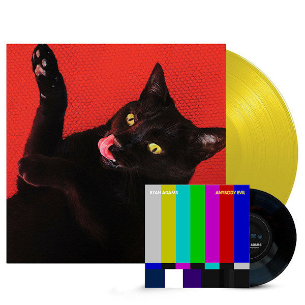 Ryan Adams - Big colors (LP) - Discords.nl