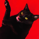 Ryan Adams - Big colors (CD) - Discords.nl