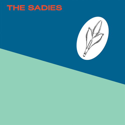 Sadies - Precious moments (CD) - Discords.nl