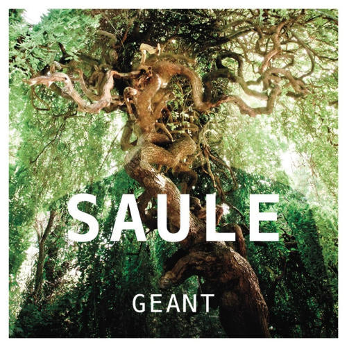 Saule - Geant (CD) - Discords.nl