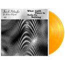 Janek Schaefer - What light there is tells us nothing (LP) - Discords.nl