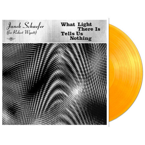 Janek Schaefer - What light there is tells us nothing (LP) - Discords.nl