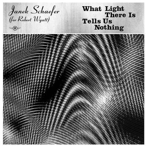 Janek Schaefer - What light there is tells us nothing (LP) - Discords.nl