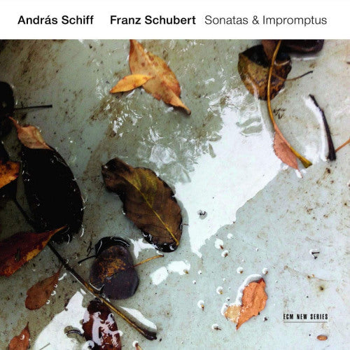 Andras Schiff - Schubert: sonatas & impromptus (CD) - Discords.nl