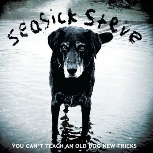 Seasick Steve - You can't teach an old dog new trick (LP) - Discords.nl