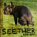 Seether - Seether: 2002-2013 (CD) - Discords.nl