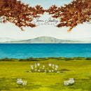 Joan Shelley - Like the river loves the sea (CD) - Discords.nl