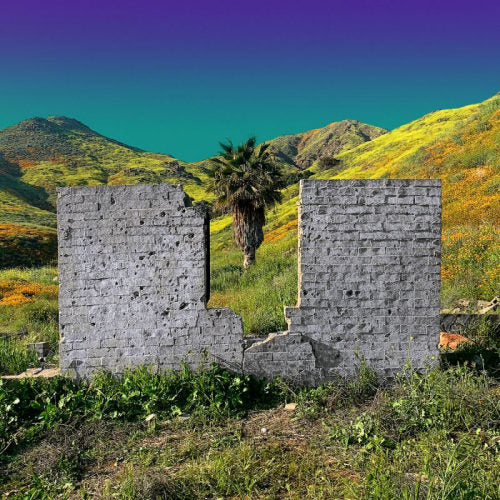 Shopping - All or nothing (LP) - Discords.nl