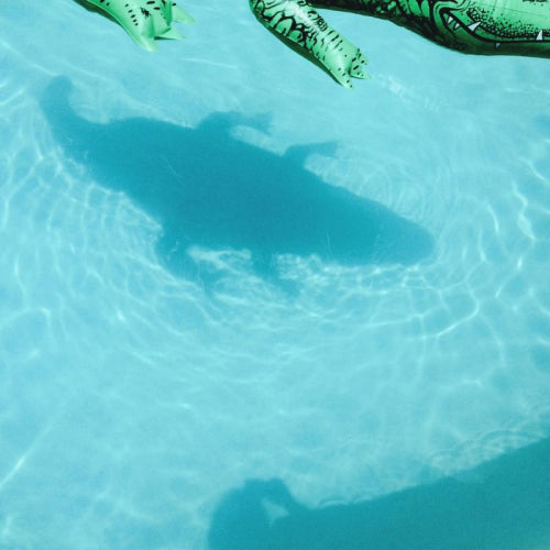 Shopping - Official body (LP) - Discords.nl