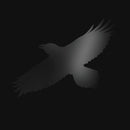 Sigur Ros - Odin's raven magic (CD) - Discords.nl