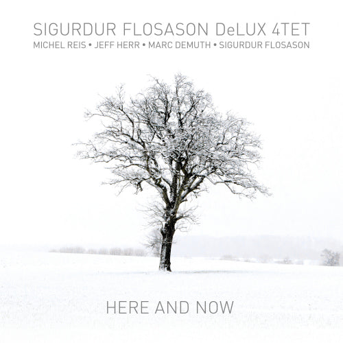 Sigurdur Flosason -delux 4tet- - Here and now (CD) - Discords.nl