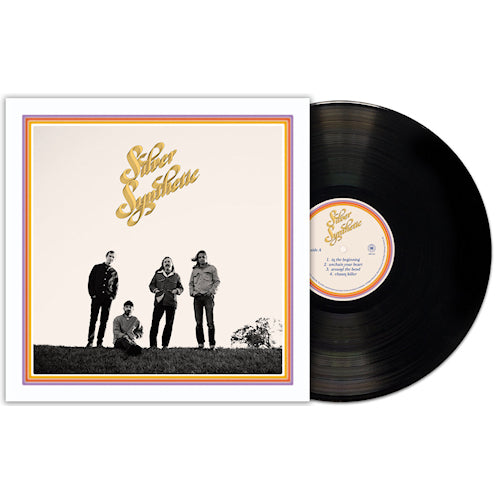Silver Synthetic - Silver synthetic (LP) - Discords.nl