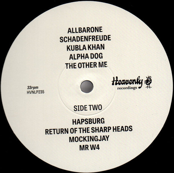 Baxter Dury - Allbarone (LP) - Discords.nl